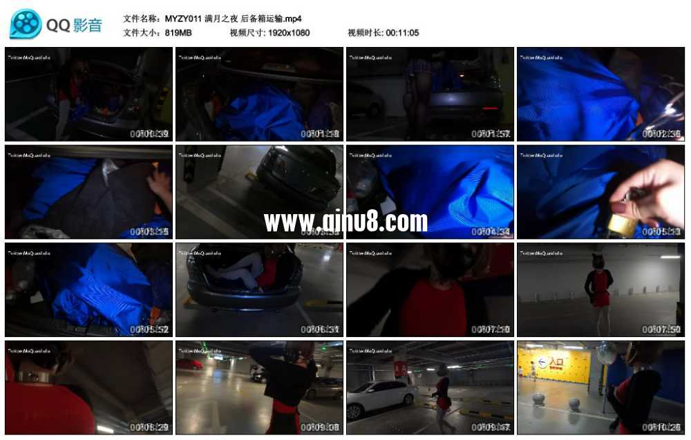 满月之夜 后备箱运输视频下载