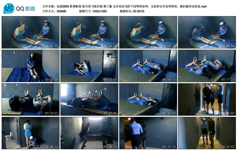 胜景影视 秋月花飞暗自殇 第三集 女井也沦为阶下囚等待宣判，女犯和女井宣判死刑，...