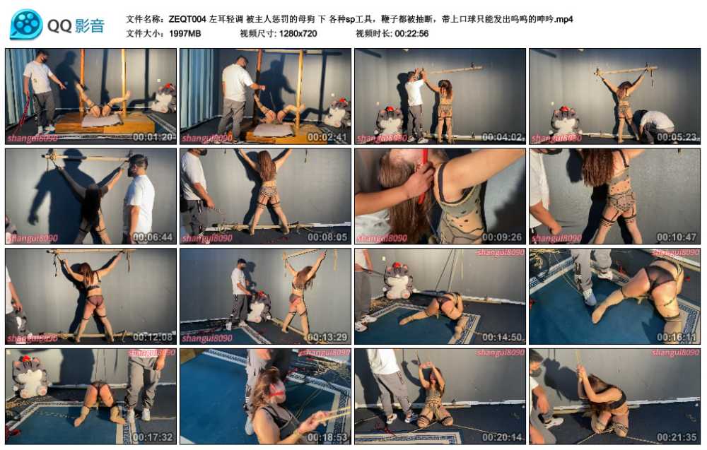左耳轻调 被主人惩罚的母狗 下 各种sp工具，鞭子都被抽断，带上口球只能发出呜呜的...