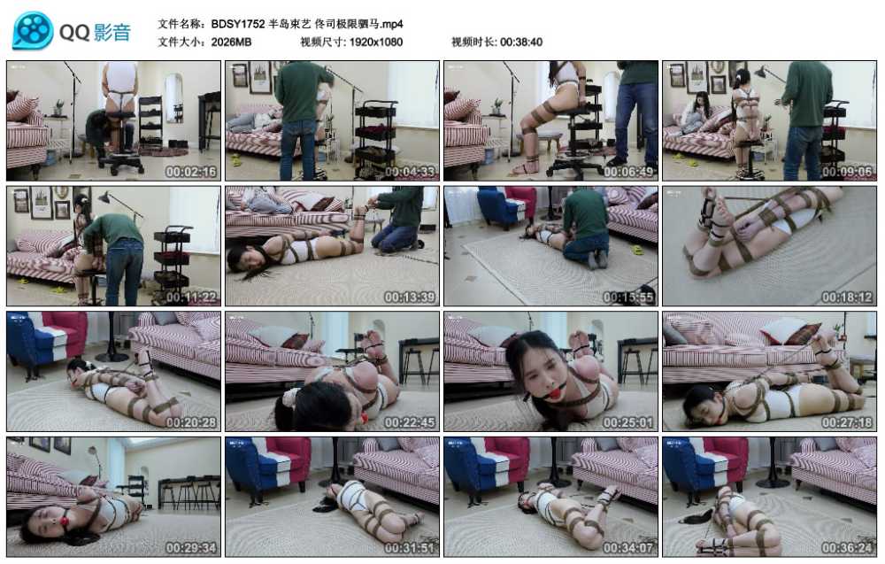 半岛束艺 佟司极限驷马