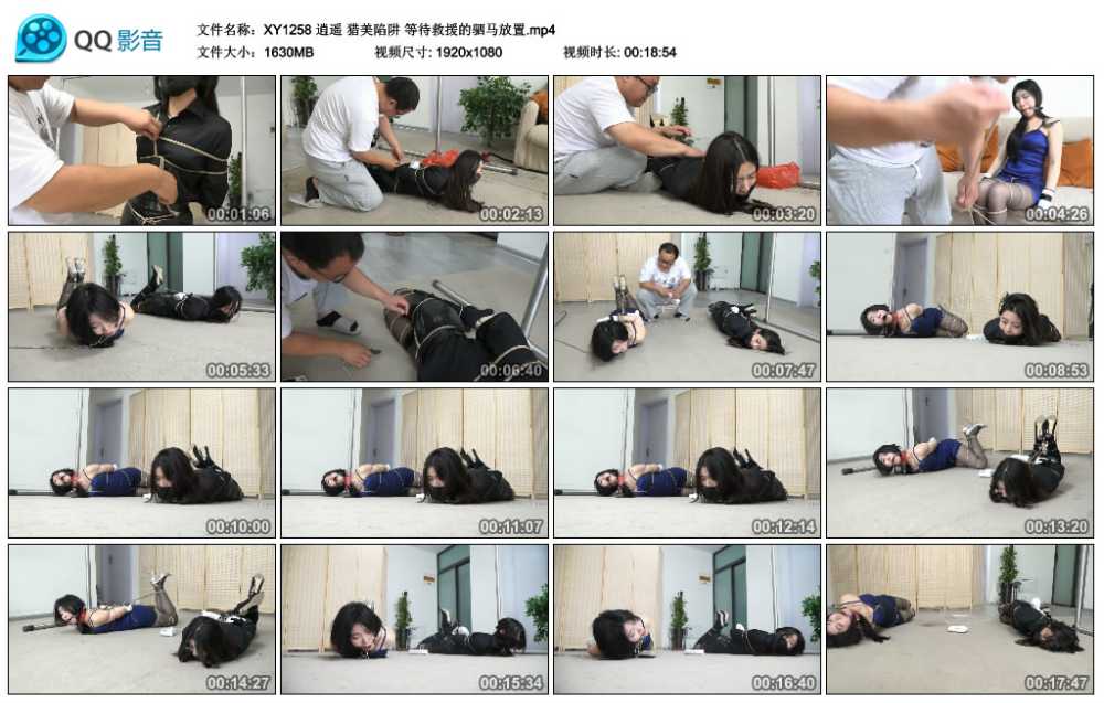 逍遥 猎美陷阱 等待救援的驷马放置