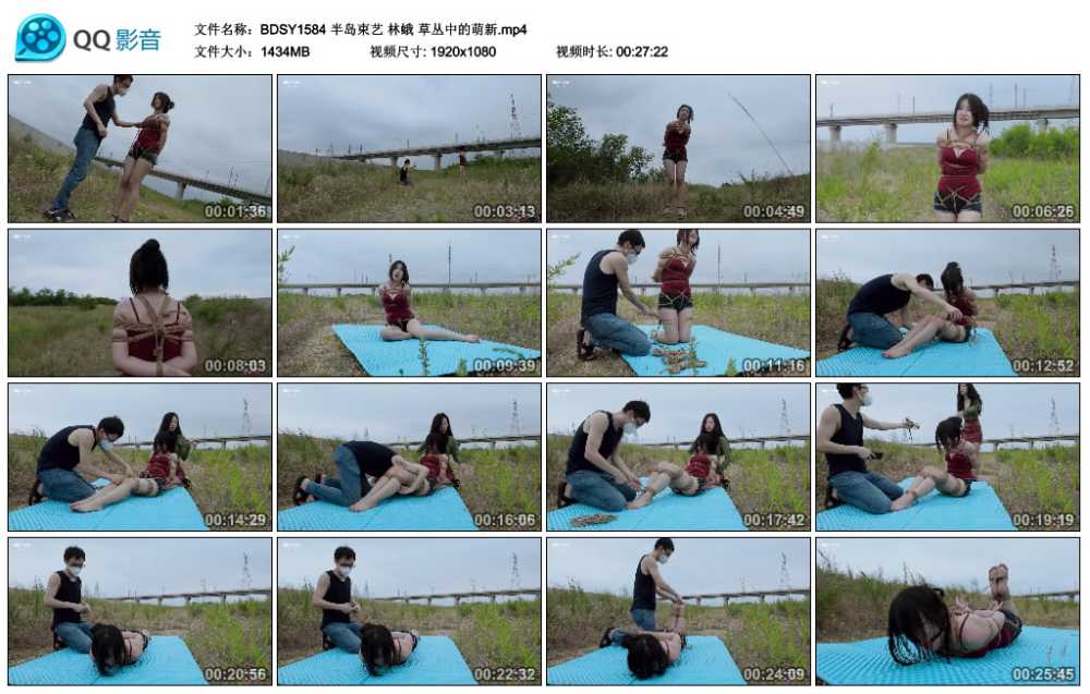 半岛束艺 林蛾 草丛中的萌新