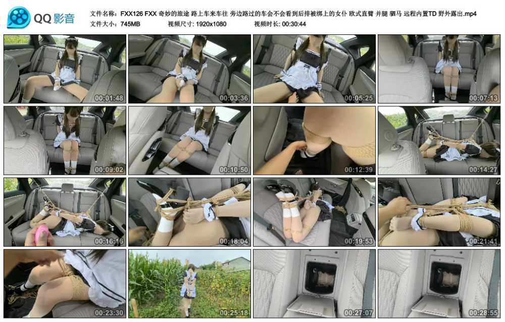 FXX 奇妙的旅途 路上车来车往 旁边路过的车会不会看到后排被绑上的女仆 欧式直臂 ...