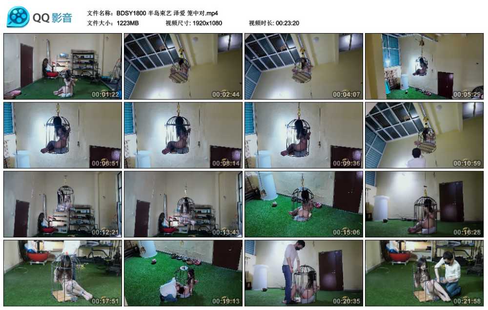 半岛束艺 泽爱 笼中对