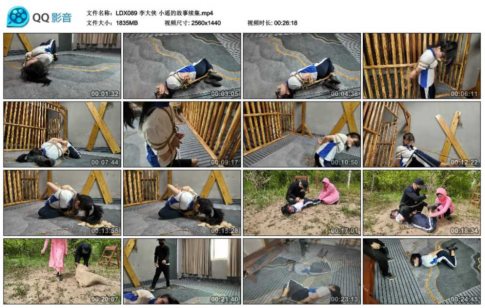 李大侠 小遥的故事续集