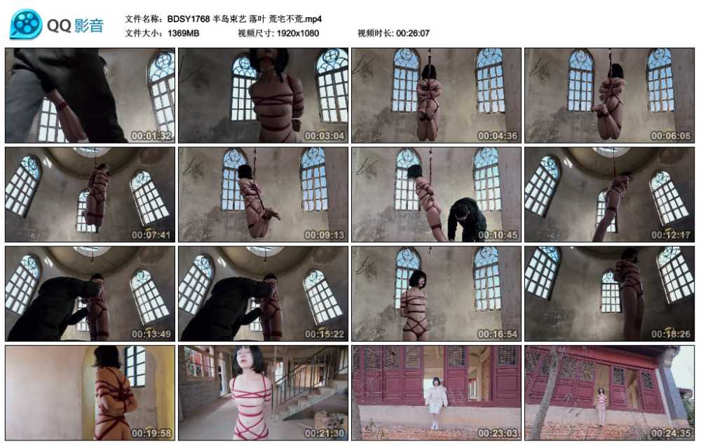 半岛束艺 落叶 荒宅不荒