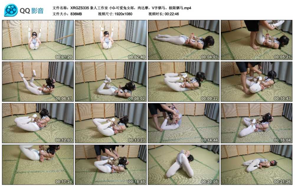 象人工作室 小0-可爱兔女郎，肉达摩，V字驷马。极限驷马