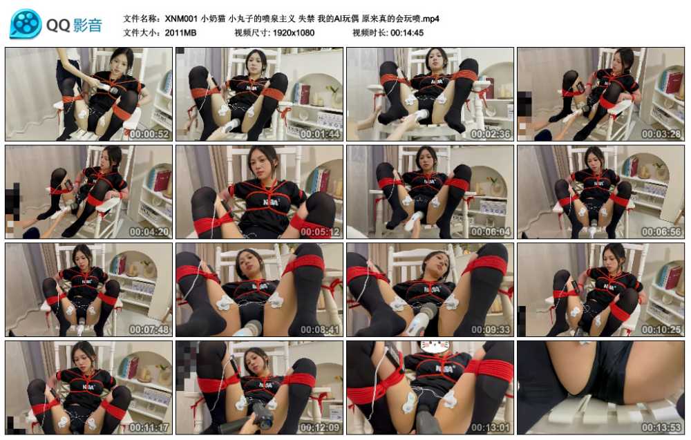 小奶猫 小丸子的喷泉主义 失禁 我的AI玩偶 原来真的会玩喷视频下载