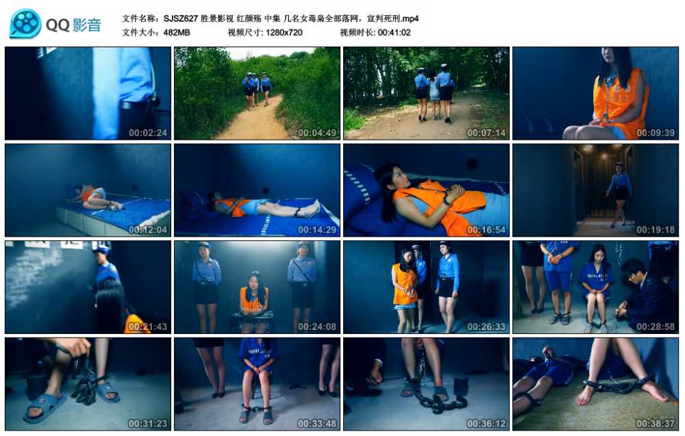 胜景影视 红颜殇 中集 几名女毒枭全部落网，宣判死刑