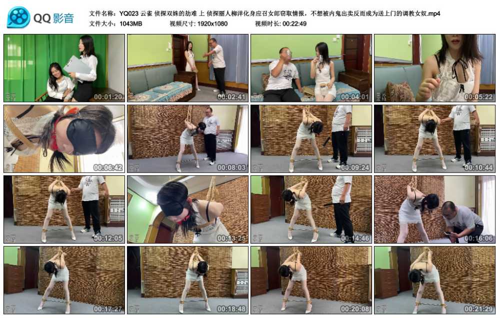 云雀 侦探双姝的劫难 上 侦探丽人柳洋化身应召女郎窃取情报，不想被内鬼出卖反而成...
