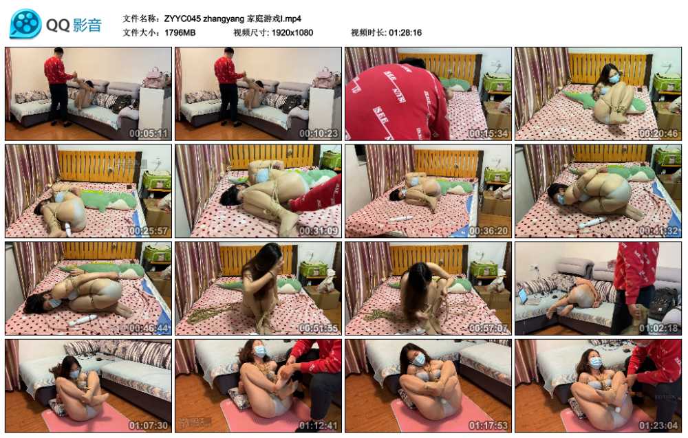 zhangyang 家庭游戏Ⅰ