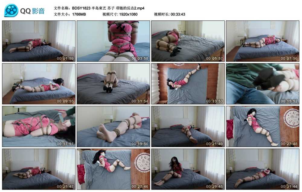 半岛束艺 苏子 项链的反击2