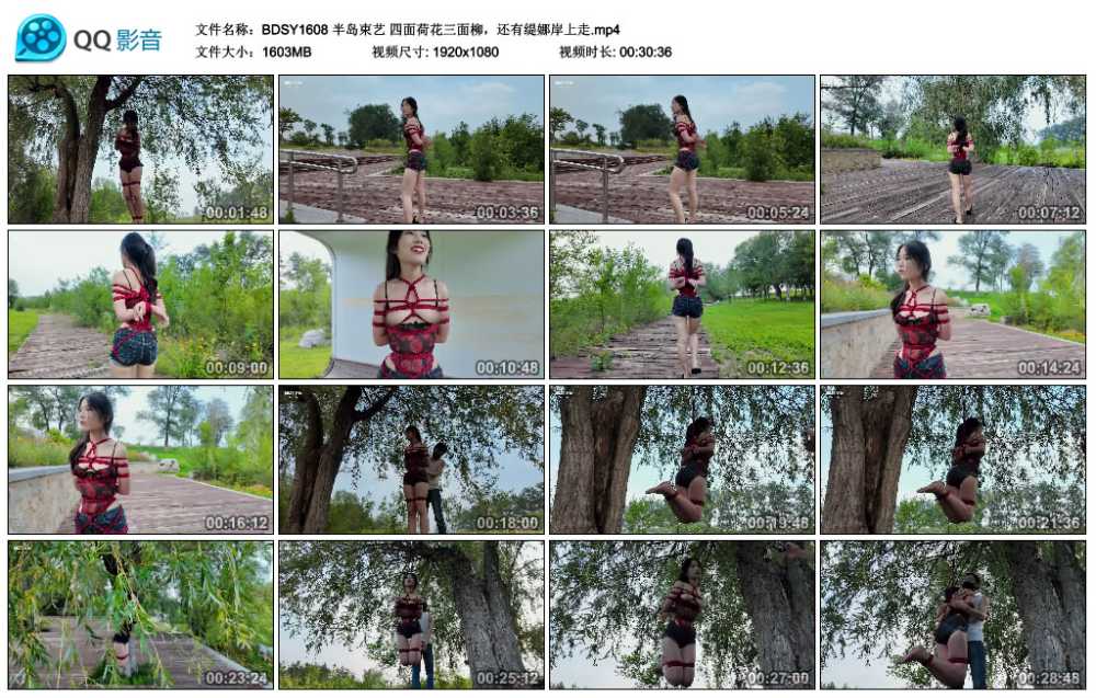 半岛束艺 四面荷花三面柳，还有缇娜岸上走