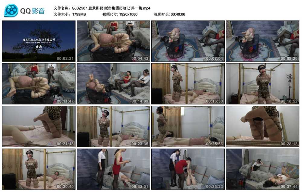 胜景影视 贩卖集团历险记 第二集