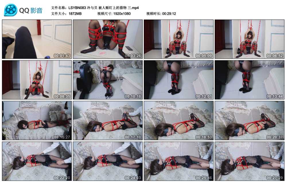 冷与贝 被人贩盯上的猎物 三