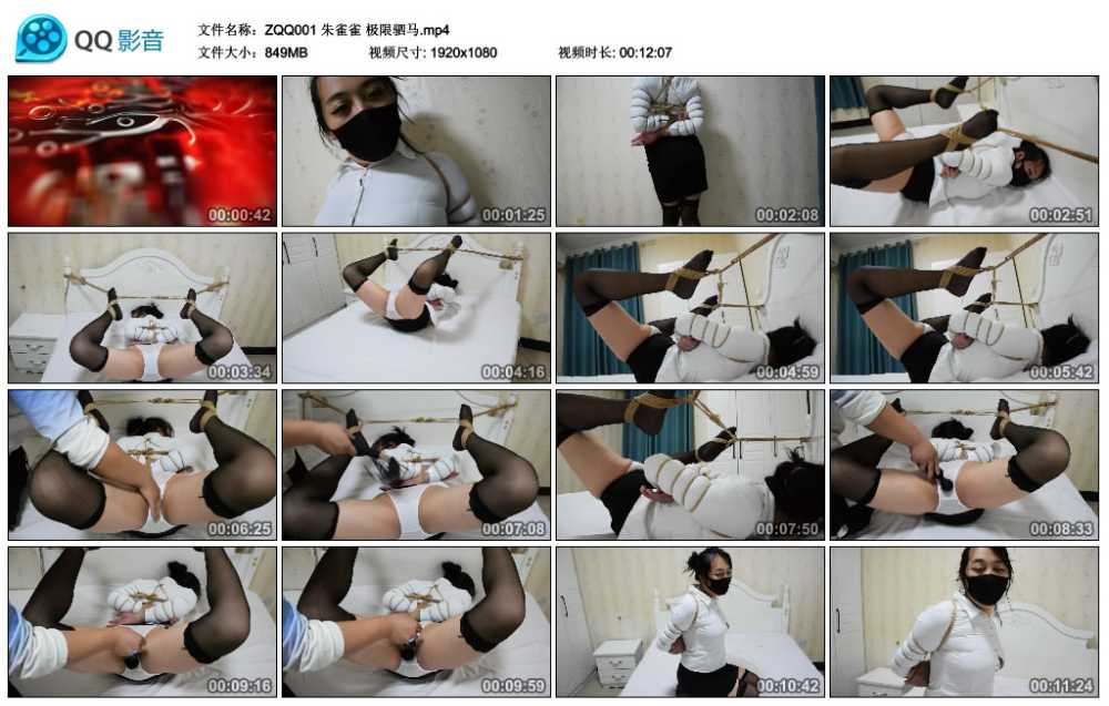 朱雀雀 极限驷马视频下载