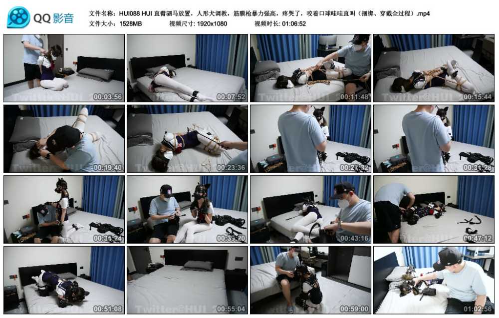 HUI 直臂驷马放置，人形犬调教，筋膜枪暴力强高，疼哭了，咬着口球哇哇直叫（捆绑...
