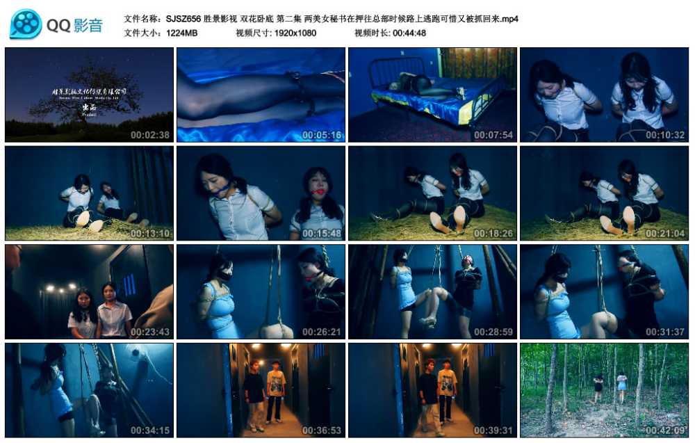胜景影视 双花卧底 第二集 两美女秘书在押往总部时候路上逃跑可惜又被抓回来