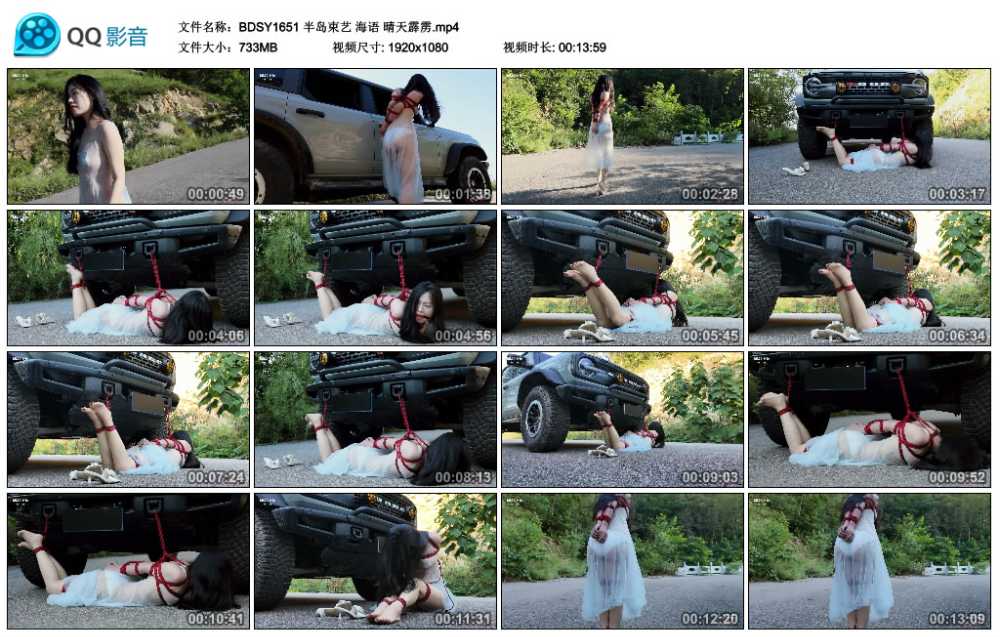 半岛束艺 海语 晴天霹雳