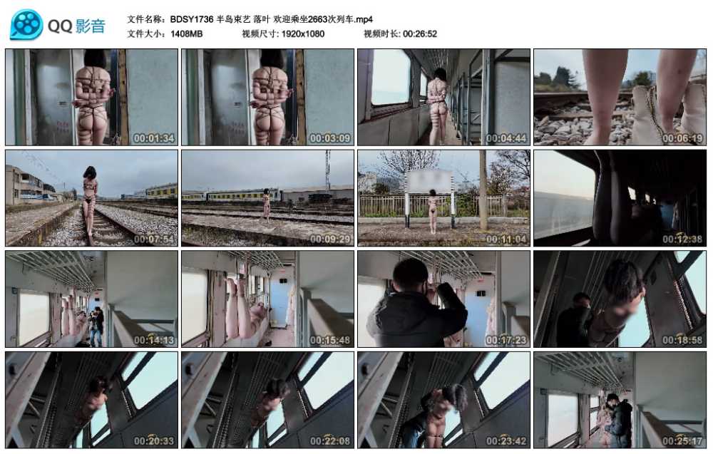 半岛束艺 落叶 欢迎乘坐2663次列车