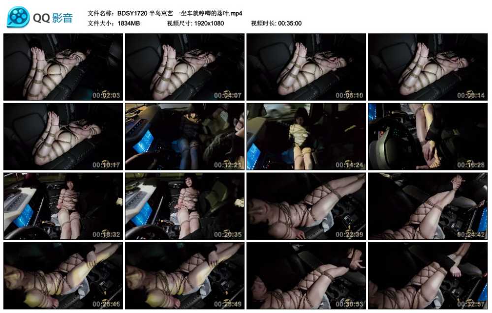 半岛束艺 一坐车就哼唧的落叶