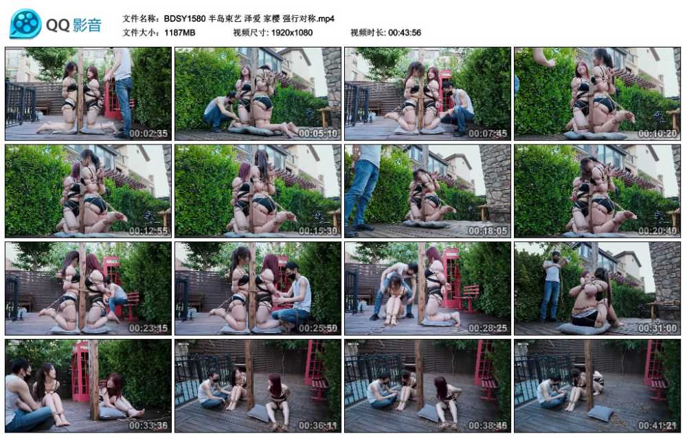 半岛束艺 泽爱 家樱 强行对称