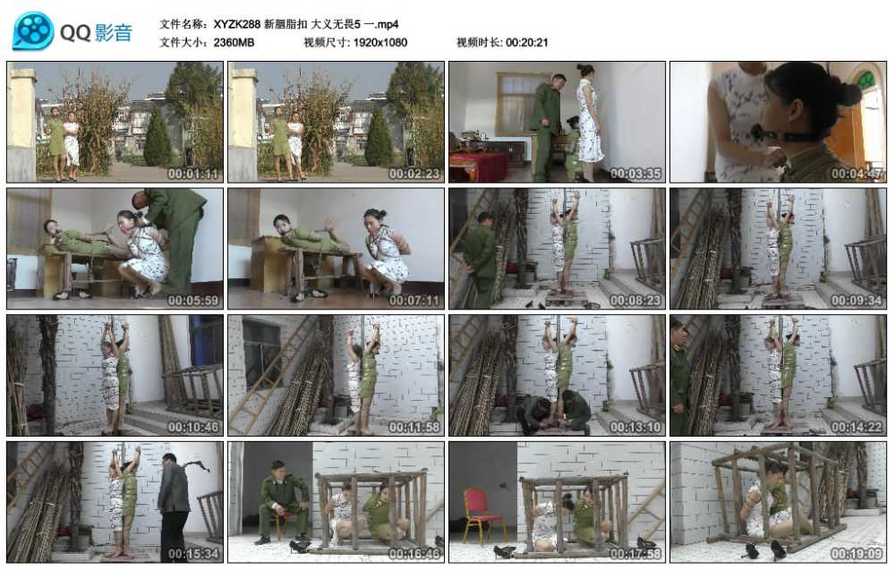 新胭脂扣 大义无畏5 一视频下载