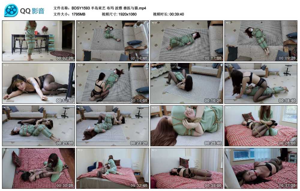 半岛束艺 布玛 波雅 兽医与猫