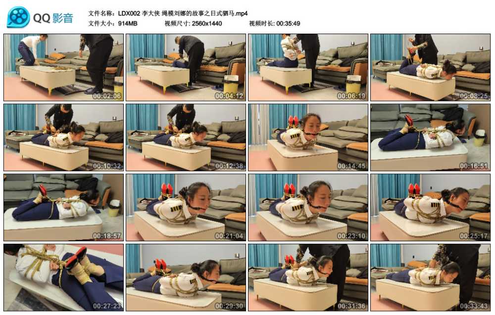 李大侠 绳模刘娜的故事之日式驷马