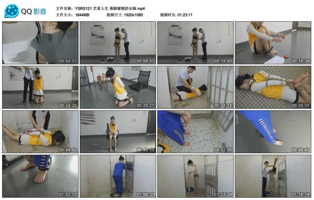 艺束人生 毒贩丽丽的末路