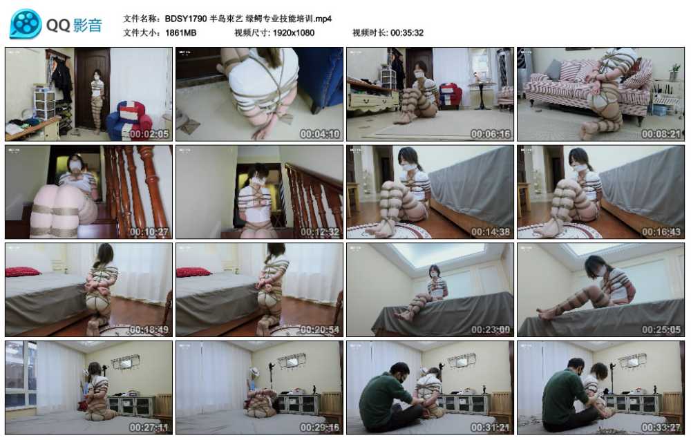 半岛束艺 绿鳄专业技能培训