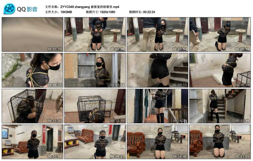 zhangyang 被报复的检察官