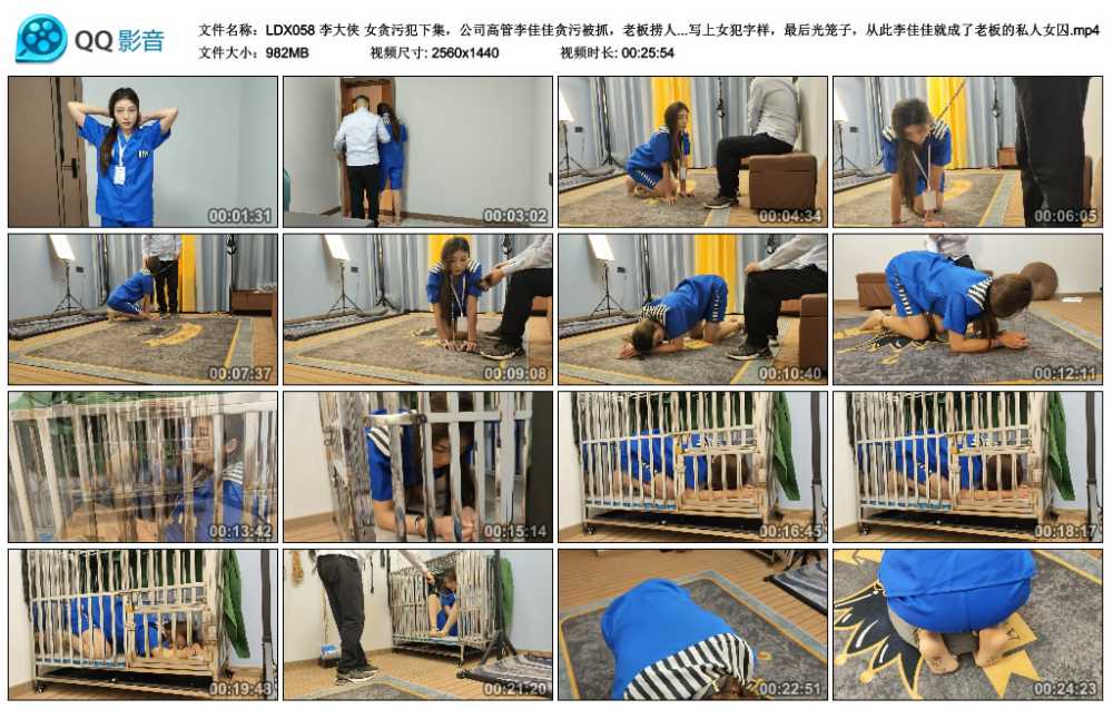 李大侠 女贪污犯下集，公司高管李佳佳贪污被抓，老板捞人，条件是做老板的私人女囚...