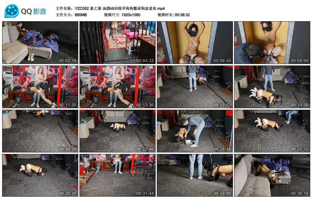 意之窗 汤圆k9训练学狗狗撒尿狗盆进食