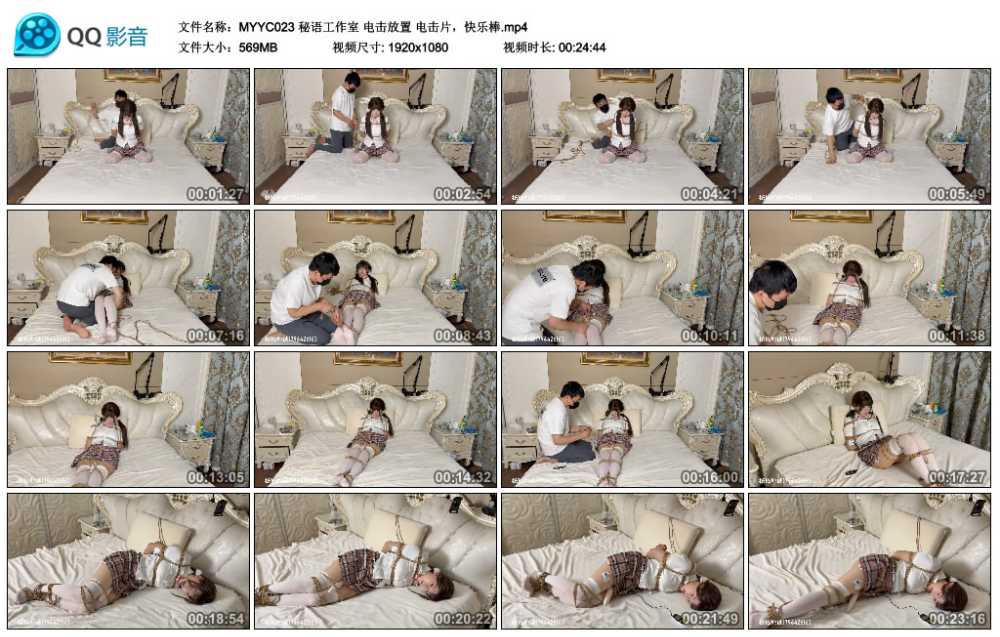 秘语工作室 电击放置 电击片，快乐棒
