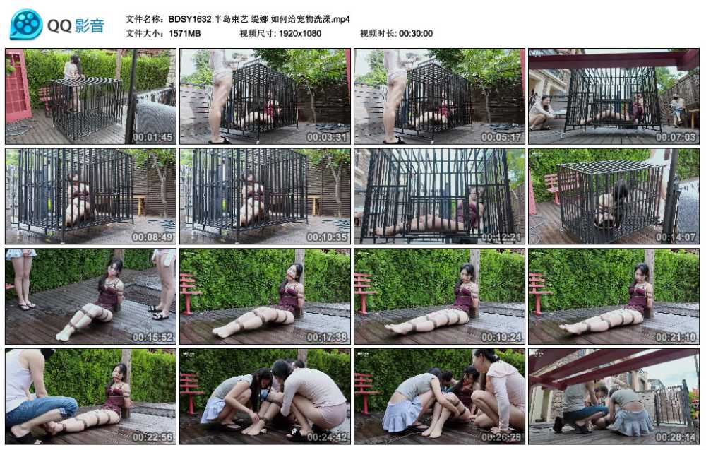 半岛束艺 缇娜 如何给宠物洗澡
