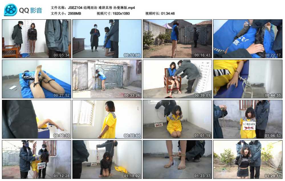 结绳而治 难辞其咎 孙曼琳版