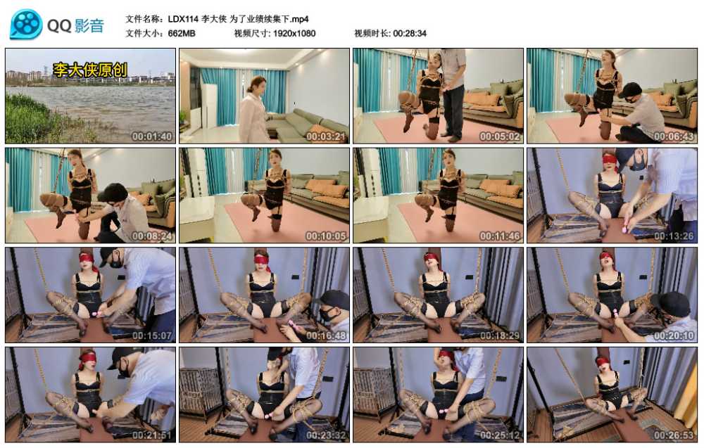 李大侠 为了业绩续集下