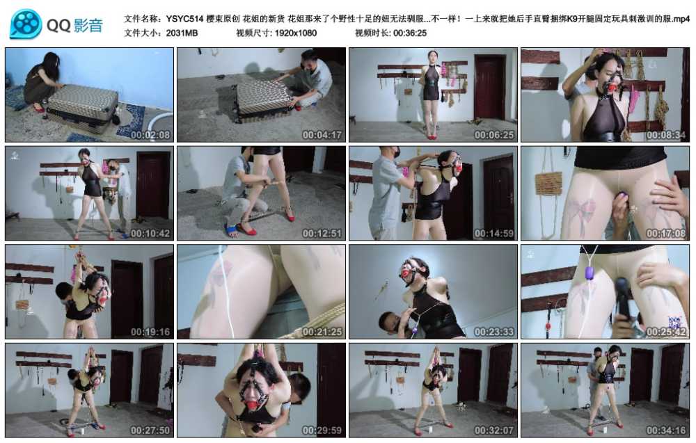 樱束原创 花姐的新货 花姐那来了个野性十足的妞无法驯服只能装行李箱送到专业的调J...