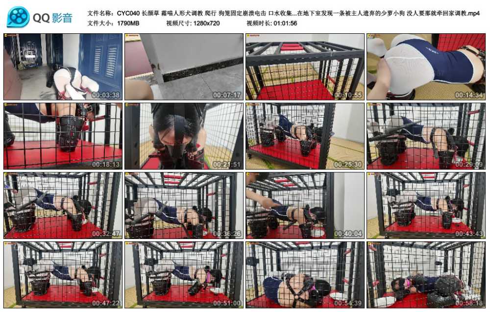 长颜草 霜喵人形犬调教 爬行 狗笼固定崩溃电击 口水收集 sp tk 多元素 在地下室发...