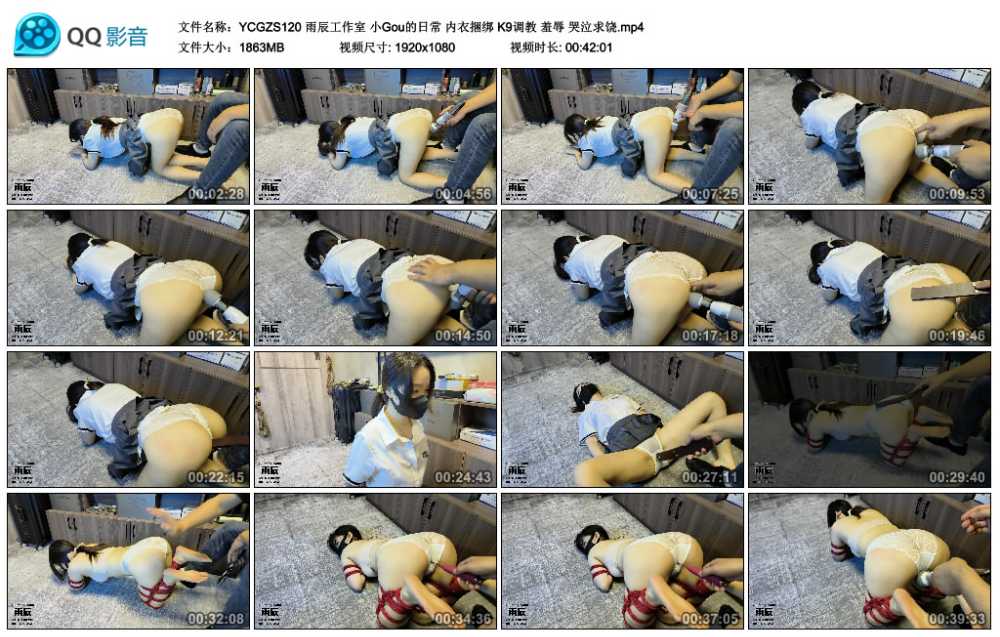 雨辰工作室 小Gou的日常 内衣捆绑 K9调教 羞辱 哭泣求饶