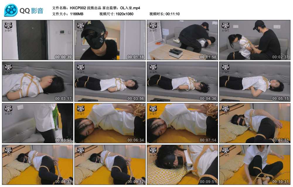 浣熊出品 家出监禁：OL入室