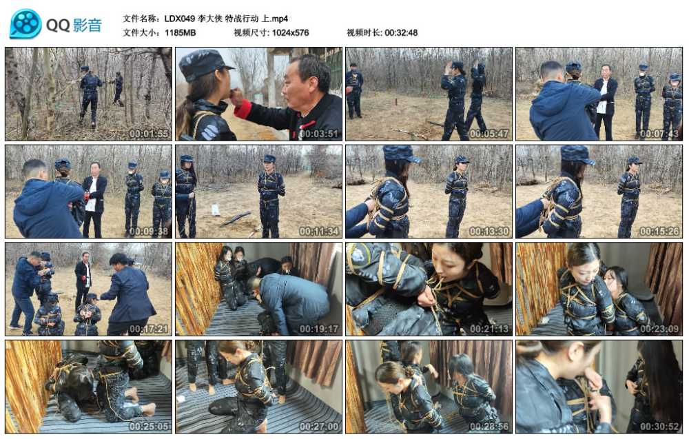 李大侠 特战行动 上