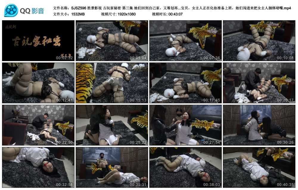 胜景影视 古玩家秘密 第三集 她们回到自己家，又筹划再去古玩家盗点宝贝，女主人正...