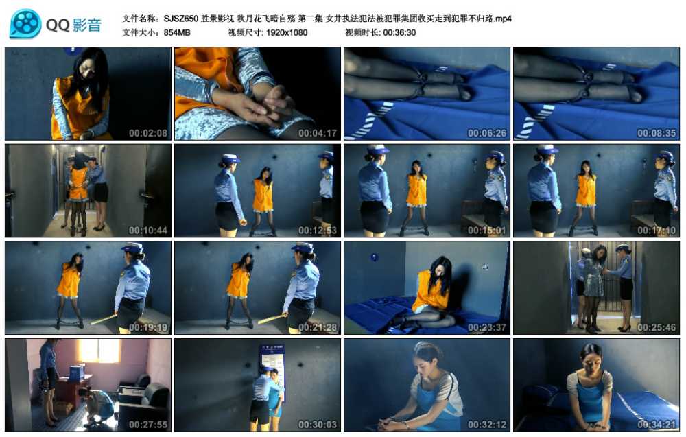 胜景影视 秋月花飞暗自殇 第二集 女井执法犯法被犯罪集团收买走到犯罪不归路