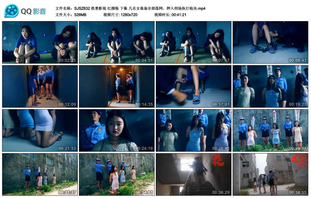 胜景影视 红颜殇 下集 几名女毒枭全部落网，押入刑场执行枪决