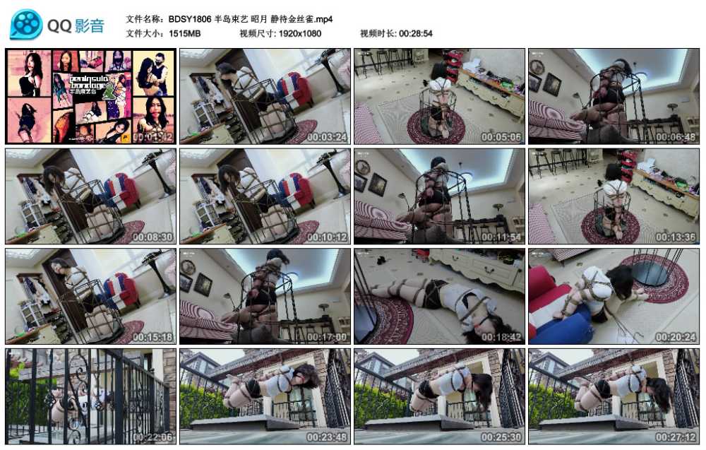 半岛束艺 昭月 静待金丝雀