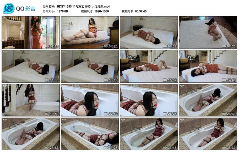 半岛束艺 海语 大宅缚影