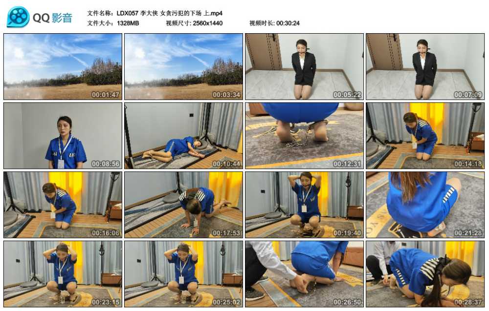 李大侠 女贪污犯的下场 上