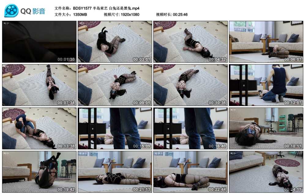 半岛束艺 白兔还是黑兔